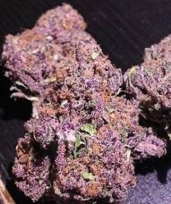 Purple Haze For Sale